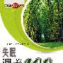 失眠调养100招