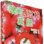 特效减肥书(全两册)