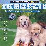 狗的基础技能训练《名犬百科与训犬百法》系列之三（VCD）