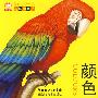 baby认一认--颜色
