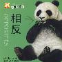 baby认一认--相反