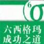 《六西格玛成功之道》