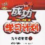 成功学习计划:九年级物理下(教育科学版)