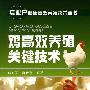 专业户健康高效养殖技术丛书--鸡高效养殖关键技术