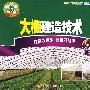 大棚建造技术（VCD）