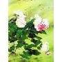 香颂风无框油画-中国工笔重彩画系列之JD13129香远益清()40*30cm