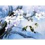 香颂风无框油画-中国工笔重彩画系列之慈乌反哺(JD13271)40*30cm
