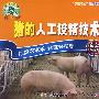猪的人工授精技术：畜禽养殖类（VCD）