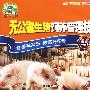 无公害生猪饲养管理技术：畜禽养殖类（VCD）