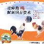 良种肉鸡配套饲养技术（VCD）