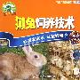 獭兔饲养技术（VCD）