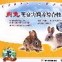 肉兔无公害饲养综合技术（VCD）