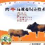 肉牛高效益饲养技术（VCD）