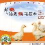 养鹅与活拔鹅毛技术(VCD)