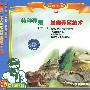 科技下乡63：特种养殖 十三－蛙类养殖技术（VCD）