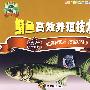 鳙鱼高效养殖技术（VCD）