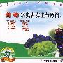 葡萄病虫害发生与防治·下(VCD)