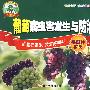 葡萄病虫害发生与防治·上(VCD)