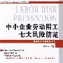 企业人力资源高级法律顾问丛书—中小企业劳动用工七大风险防范