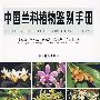 中国兰科植物鉴别手册