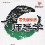 名师导学·零失误训练：九年级化学·下（人教版）（附答案）