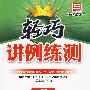 轻巧讲例练测：9年级化学·下（人教版）（附试卷）