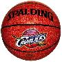Spalding斯伯丁74-083NBA骑士队徽篮球