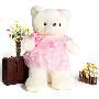 快乐娃娃 粉色公主裙1.6米暖暖熊 160cm x 65cm