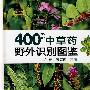 400种中草药野外识别图鉴