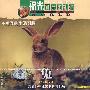 福光可爱的动物：兔子的生活习性－兔（VCD）