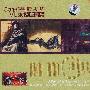 汽车专用：藏音天籁：发烧男生（2CD）