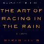 雨中赛跑的艺术The Art of Racing in the Rain