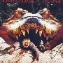惊世巨鳄2（DVD）