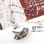 韩国momo-韩版饰品-奢华天鹅锆石项链（售完为止）