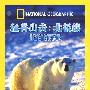 猛兽出击：北极熊（DVD）