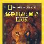 猛兽出击：狮子（DVD）