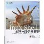 实战Linux Shell编程与服务器管理(悦知文化)