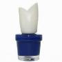 The faceshop植物花语指甲油BL605（宝石蓝）10ml
