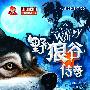 野狼谷传奇－中国原创冒险文学书系