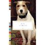 Dog Stories