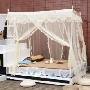 埃迪蒙托IDEE MONTO双人加大宫廷蚊帐