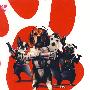 小狗冲冲冲2(5DVD)