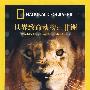 世界致命动物:非洲(DVD)