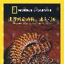 世界致命动物:澳大利亚(DVD)