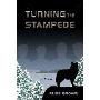 Turning the Stampede
