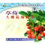 草莓大棚栽培技术(VCD)