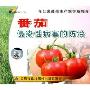 番茄侵染性病害的防治(VCD)