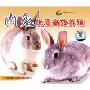 肉兔优质高效养殖(VCD)