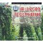 淮山药的栽培与利用(VCD)