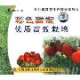 彩色甜椒优质高效栽培(VCD)